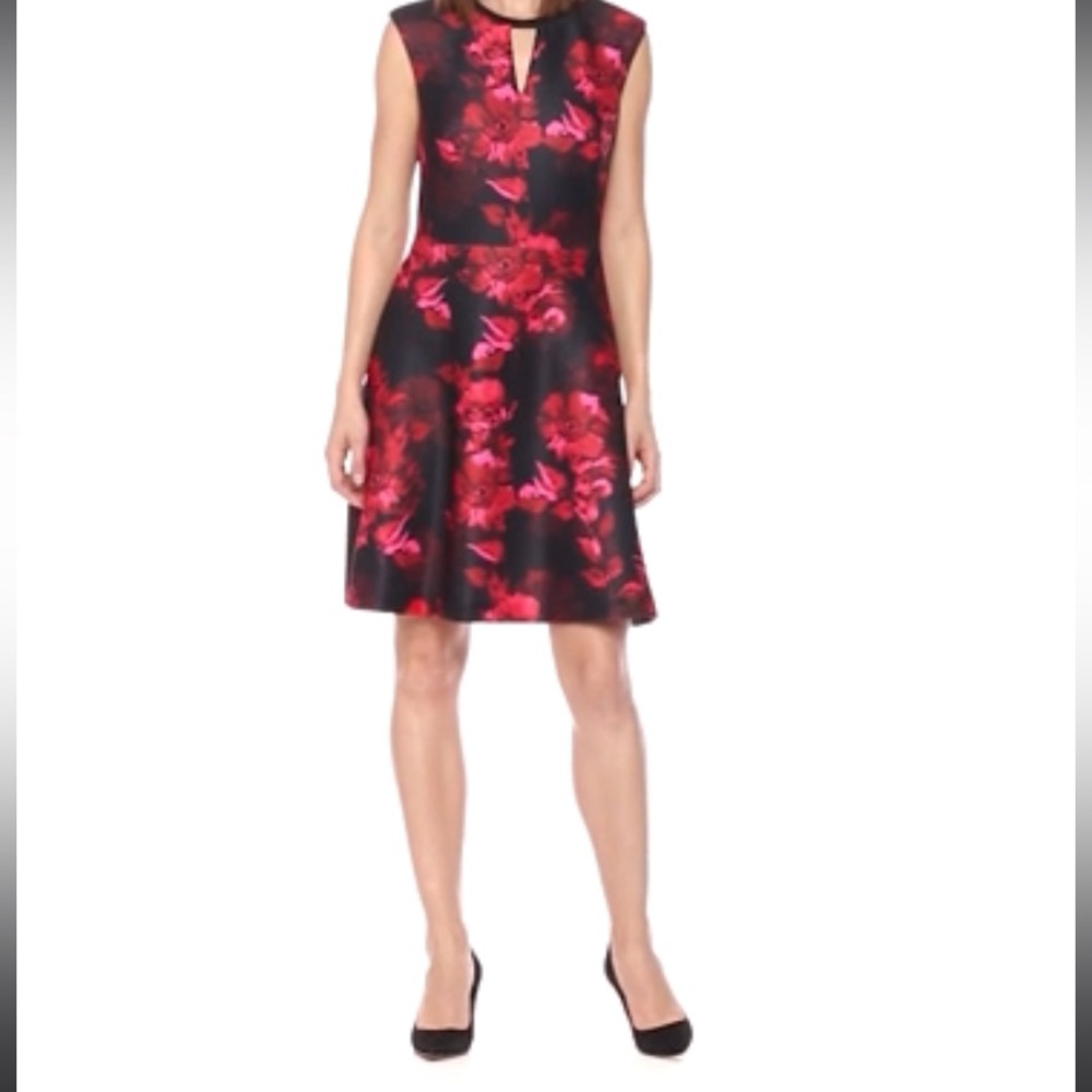 Tommy Hilfiger Romance Print Cap Sleeve Dress with V Neckline